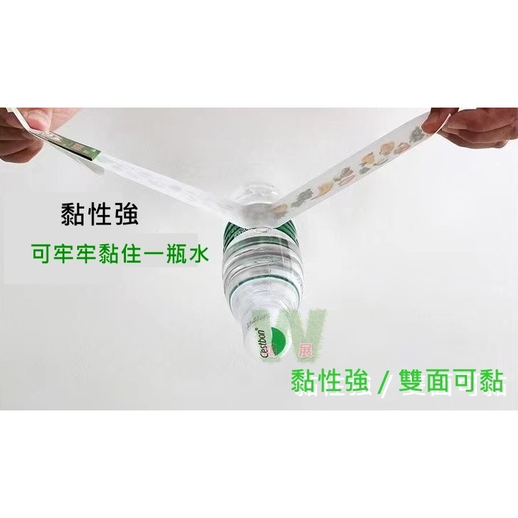 w711鴻展 雙面超黏捕蠅紙 捕蠅紙 誘蠅紙 捕蠅板 捕蠅器 黏蟲板 雙面黏蟲板 茶園 菜園 大棚果園 溫室 園藝 捕蟲-細節圖3