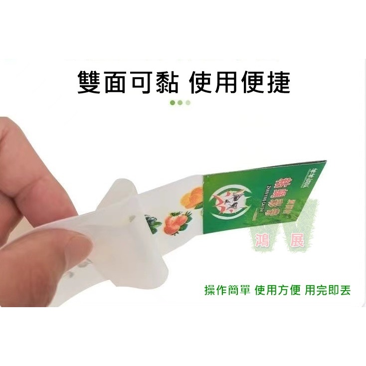 w711鴻展 雙面超黏捕蠅紙 捕蠅紙 誘蠅紙 捕蠅板 捕蠅器 黏蟲板 雙面黏蟲板 茶園 菜園 大棚果園 溫室 園藝 捕蟲-細節圖4