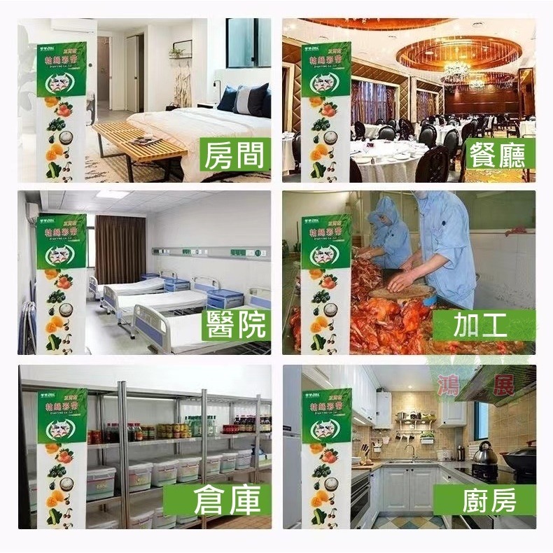 w711鴻展 雙面超黏捕蠅紙 捕蠅紙 誘蠅紙 捕蠅板 捕蠅器 黏蟲板 雙面黏蟲板 茶園 菜園 大棚果園 溫室 園藝 捕蟲-細節圖5