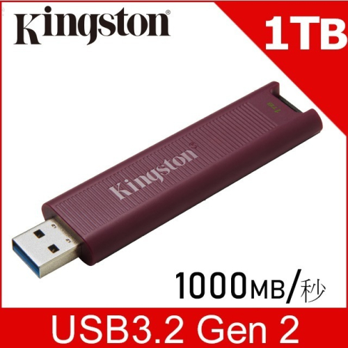 金士頓 Kingston DataTraveler Max Type-A 隨身碟 (DTMAXA/1TB)