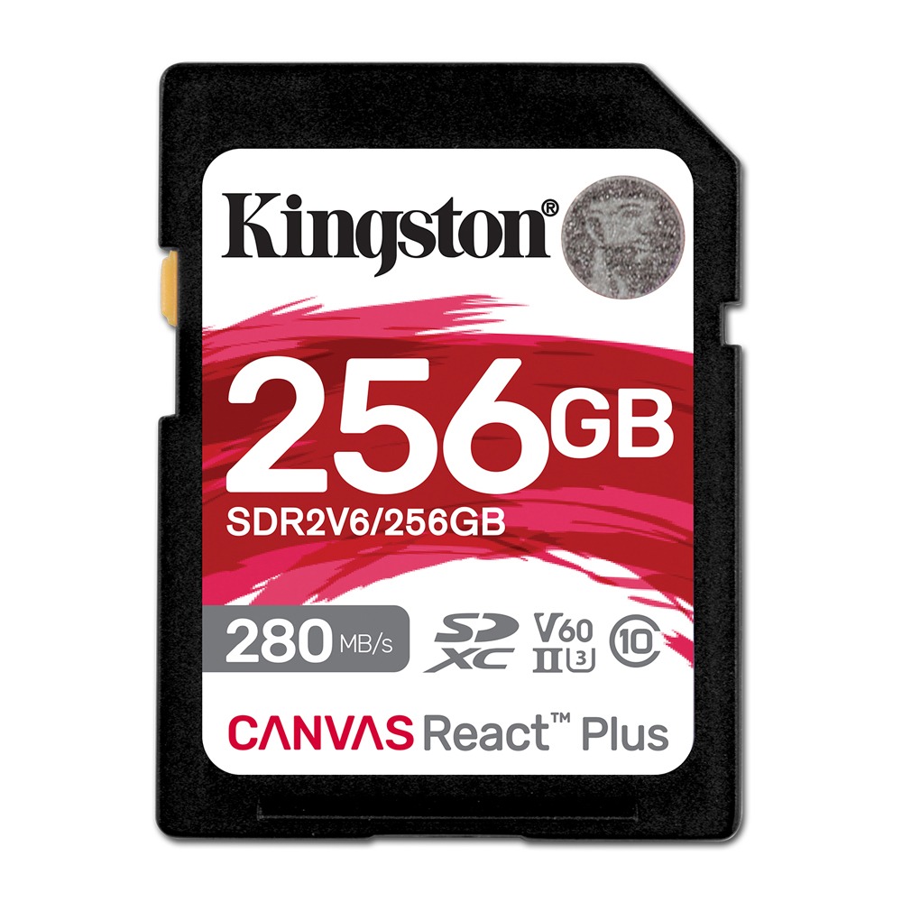 256GB