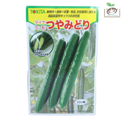 【禾康肥料】日本小黃瓜豔綠種子(つやみどり) 可超取