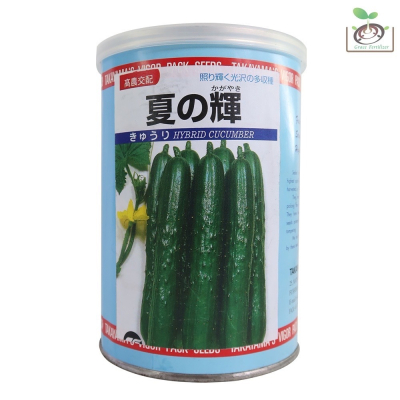【禾康肥料】日本夏之輝小黃瓜種子 可超取