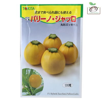 【禾康肥料】日本圓形黃色櫛瓜(夏南瓜)種子 可超取