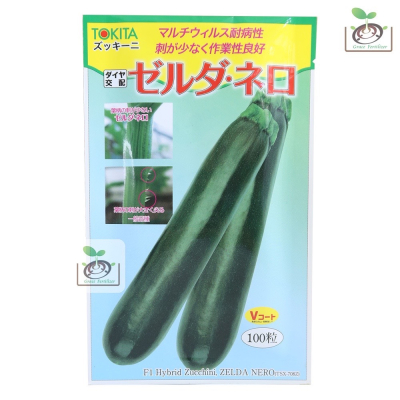 【禾康肥料】日本綠色長型櫛瓜(夏南瓜)種子 可超取