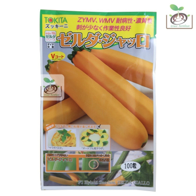【禾康肥料】日本黃色長型櫛瓜(夏南瓜)種子 可超取