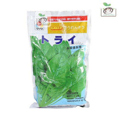 【禾康肥料】日本菠菜種子(トライ)種子 可超取