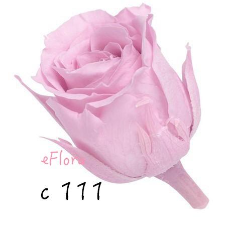 大地農園  不凋玫瑰 零售 批發 粉 紫 恆星花聖誕交換禮物樹花圈-細節圖4