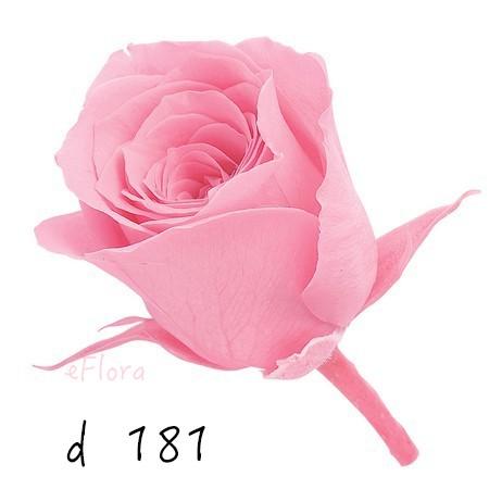 大地農園  不凋玫瑰 零售 批發 粉 紫 恆星花聖誕交換禮物樹花圈-細節圖5