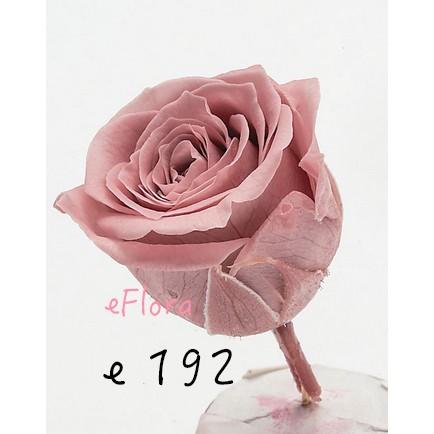 大地農園  不凋玫瑰 零售 批發 粉 紫 恆星花聖誕交換禮物樹花圈-細節圖6