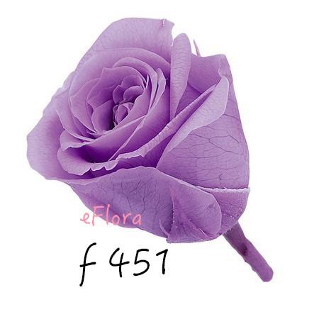 大地農園  不凋玫瑰 零售 批發 粉 紫 恆星花聖誕交換禮物樹花圈-細節圖7