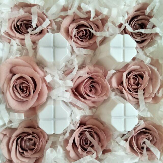 大地農園 中 玫瑰花 藕粉 03480-192 永生花 不凋花 婚禮 情人節 聖誕 生日聖誕交換禮物樹花圈-細節圖2