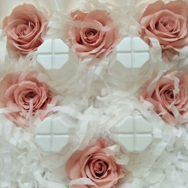 大地農園 中 玫瑰 花 粉杏色 03480-172 永生花 不凋花 婚禮 情人節 聖誕 生日 永生玫瑰 不凋玫瑰-細節圖2