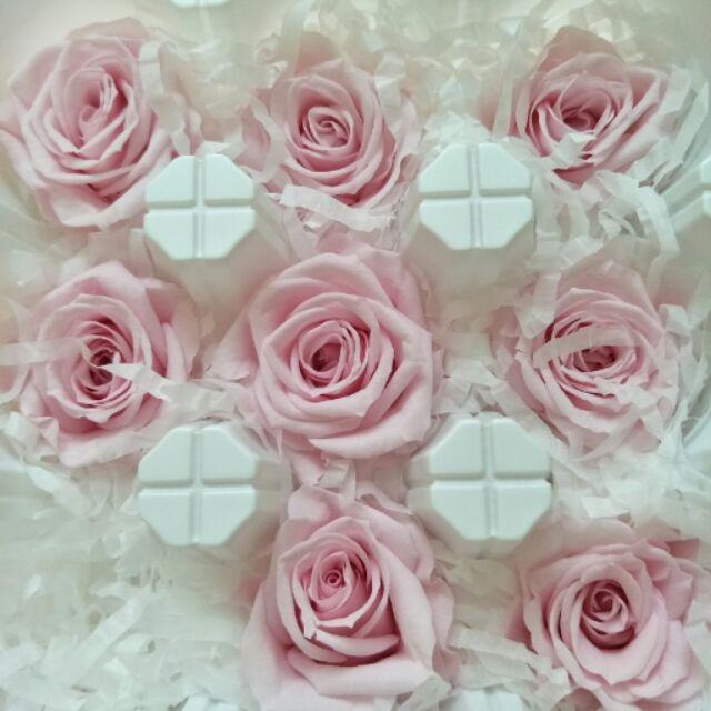 大地農園 中 玫瑰 香檳粉 03480-102 永生花 不凋花 婚禮 情人節 聖誕 生日 永生玫瑰 不凋玫瑰-細節圖2