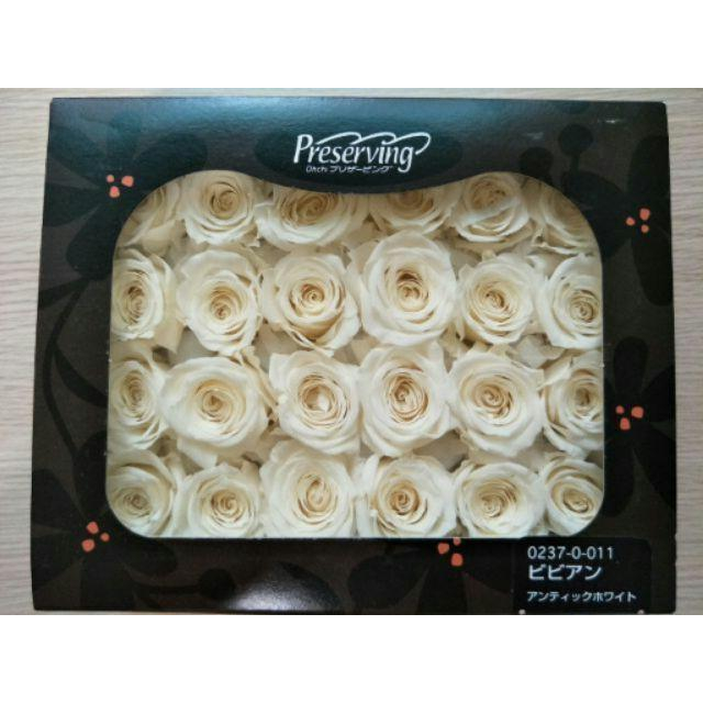 大地農園 小 玫瑰花 復古白 零售 批發 恆星花聖誕交換禮物樹花圈-細節圖2