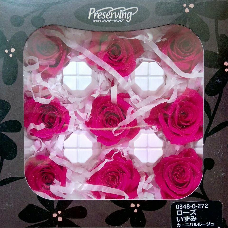 大地農園 玫瑰 桃紅  中  單朵 零售 批發  恆星花 永生花 不凋花 03480 永生玫瑰 不凋玫瑰-細節圖2