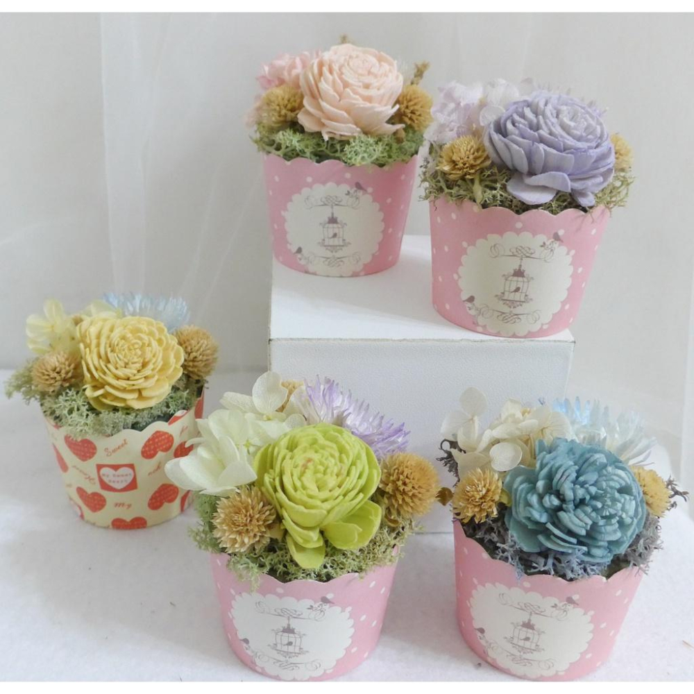 eflora 索拉擴香蛋糕花|迷你盆花|桌花 蛋糕花 永生花 乾燥花 婚禮小物 畢業禮物 婚禮佈置 生日禮物 謝師禮物-細節圖2