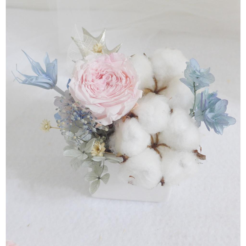 棉婚系列 粉永生英式庭園玫瑰棉花盆花 母親節 情人節 婚禮調職升遷退休離職畢業聖誕交換禮物樹花圈-細節圖2