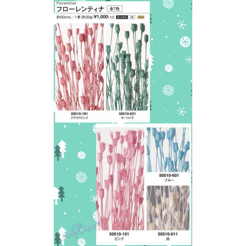 大地農園 風鈴花 白 粉 藍 藍綠  1朵8元 小風鈴 小星花 兔尾 乾燥花 不凋花 永生花 婚禮 風鈴果-細節圖2