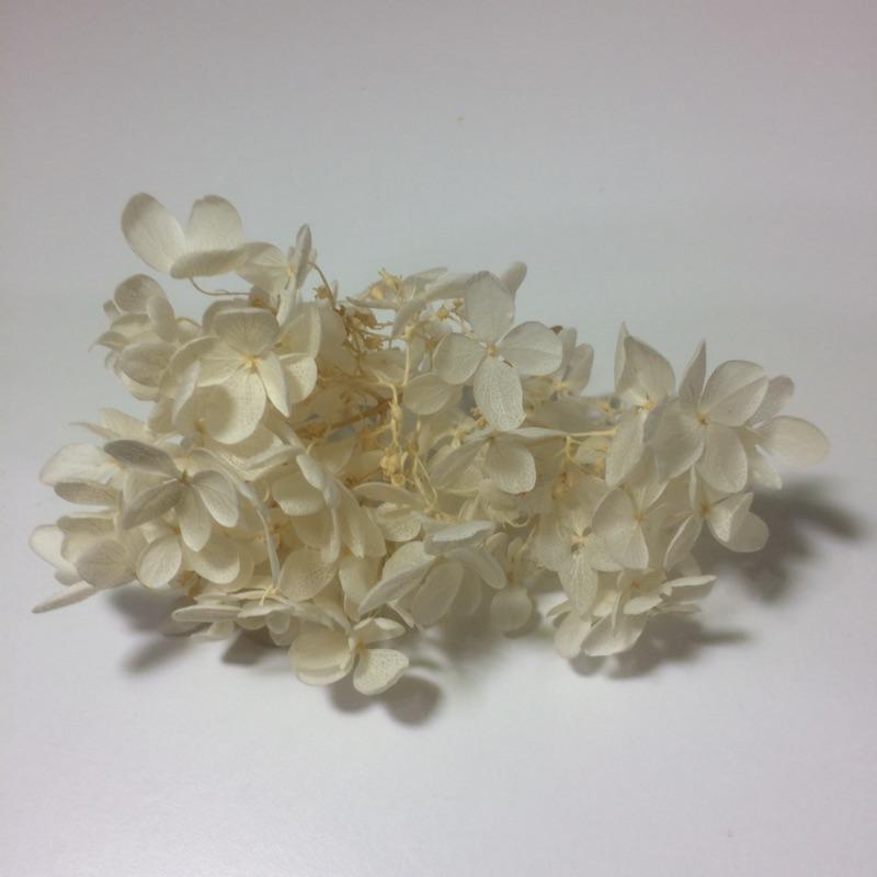 大地農園 中瓣 白  繡球花 不凋花 永生花 恆心花  零售 批發聖誕交換禮物樹花圈-細節圖2