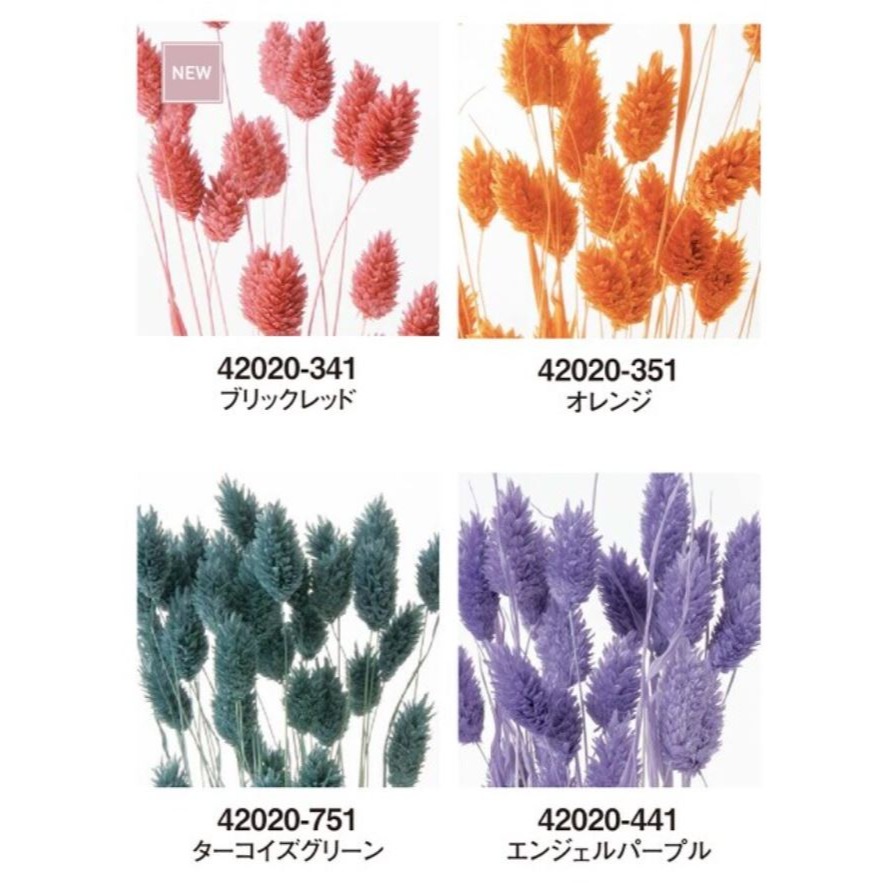 eflora 大地農園 佳娜利／加那利／佳那利 42020  天然乾燥花材-細節圖2