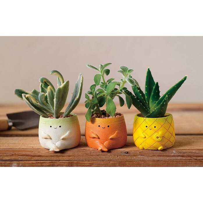 日本進口花器 迷你花器多肉盆栽 Greenhouse 紅蘿蔔鳳梨蔬菜水果樹脂花盆花器 資材新年聖誕節母親節禮物康乃馨花束-細節圖2