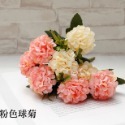 淺粉色球菊1束