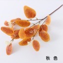 秋色尤加利葉1支