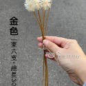 白色一束(六支)