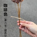咖啡色一束(六支)