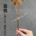 金色一束(六支)