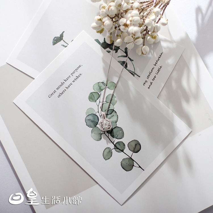 拍照卡片 拍照道具 雜誌風格拍攝卡片 植物系列卡片 拍照背景紙 拍攝道具卡 拍照小物 網拍必備 日皇-細節圖5