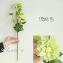 仿真花 拍照道具 大麗花 仿真花束 雛菊 台灣現貨 拍攝道具 婚禮佈置 擺飾 裝飾 化妝品飾品拍照道具 日皇二館-規格圖7