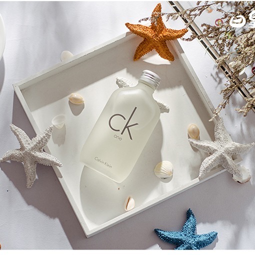 仿真海星 拍照道具 拍攝道具 海洋風格 海星 拍照背景 網拍道具 現貨 日皇二館-細節圖4