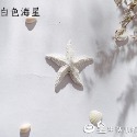 仿真海星 拍照道具 拍攝道具 海洋風格 海星 拍照背景 網拍道具 現貨 日皇二館-規格圖7