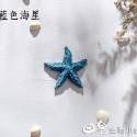 藍色海星1個