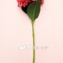 拍照道具 仿真花 綉球花 繡球花 仿真花束 拍攝道具 蒲公英 球菊 婚禮佈置 擺飾 裝飾 化妝品飾品拍照道具 日皇-規格圖7