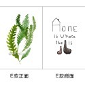 卡片 拍照道具 拍照背景 明信片 ins 拍攝道具卡 雙面拍照卡片 裝飾佈置 擺件 日皇-規格圖8