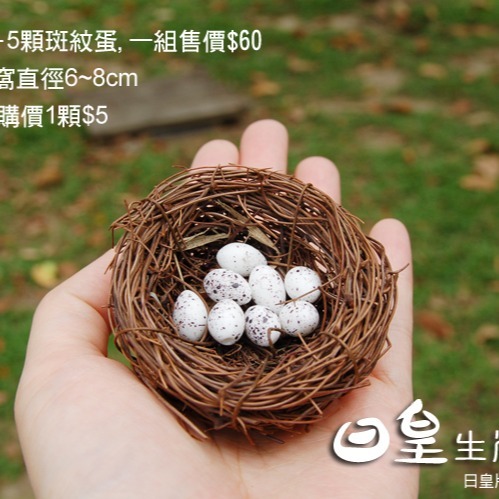 鳥窩 鳥蛋 鳥巢 拍照道具 微景觀 盆栽造景 多肉盆栽裝飾 DIY微景觀造景公仔擺飾 療癒 日皇-細節圖4