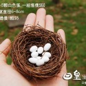 鳥窩 鳥蛋 鳥巢 拍照道具 微景觀 盆栽造景 多肉盆栽裝飾 DIY微景觀造景公仔擺飾 療癒 日皇-規格圖4