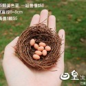 鳥窩 鳥蛋 鳥巢 拍照道具 微景觀 盆栽造景 多肉盆栽裝飾 DIY微景觀造景公仔擺飾 療癒 日皇-規格圖4