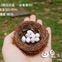 鳥窩 鳥蛋 鳥巢 拍照道具 微景觀 盆栽造景 多肉盆栽裝飾 DIY微景觀造景公仔擺飾 療癒 日皇-規格圖4
