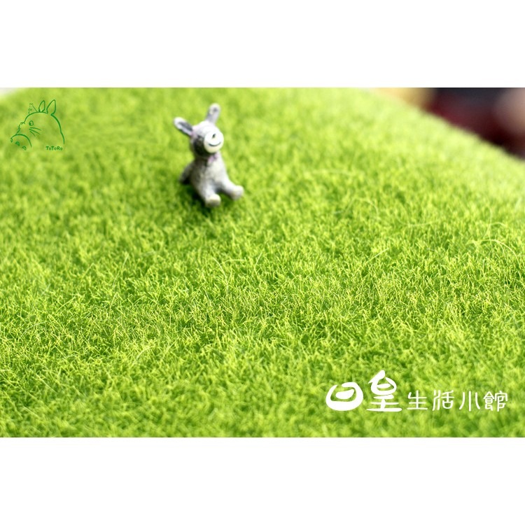 仿真草皮 拍照道具 人造草皮 裝飾草坪 娃娃機佈置 拍攝道具 微景觀 多肉盆栽裝飾 仿真苔蘚假草皮 日皇-細節圖2