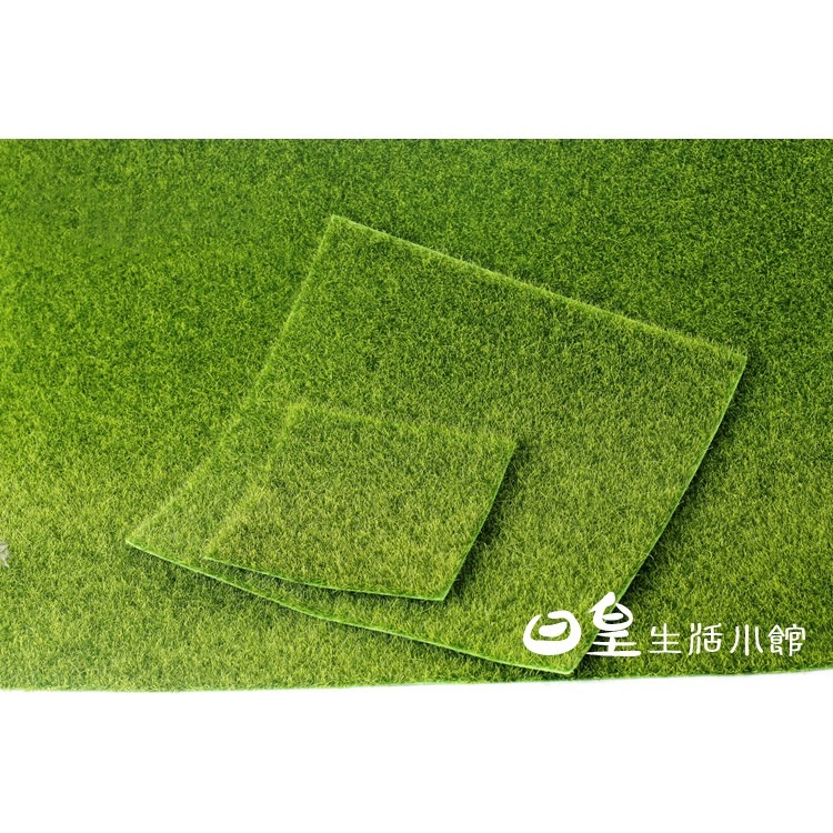 仿真草皮 拍照道具 人造草皮 裝飾草坪 娃娃機佈置 拍攝道具 微景觀 多肉盆栽裝飾 仿真苔蘚假草皮 日皇-細節圖3
