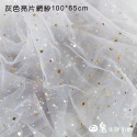 背景布 拍照道具 網紗 亮片布 亮片網紗 桌布 拍照背景 拍照小物 拍照裝飾 擺拍 佈置 婚禮小物 日皇-規格圖9