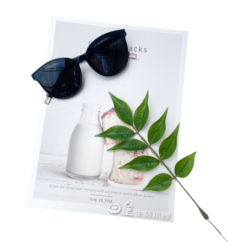 仿真葉子 現貨 拍照道具 椰子葉 龜背葉 韓國極簡ins 攝影背景 擺飾 假葉子 假草 拍照小物 佈置 日皇-細節圖11