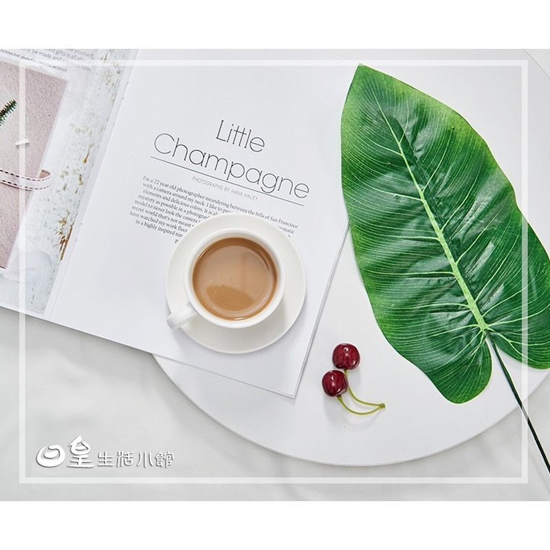 仿真樹葉 現貨 拍照道具 熱帶椰子葉 韓國極簡ins 攝影背景 擺飾 假葉子 假草 拍照小物 佈置 婚禮佈置 日皇-細節圖5