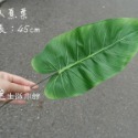 仿真樹葉 現貨 拍照道具 熱帶椰子葉 韓國極簡ins 攝影背景 擺飾 假葉子 假草 拍照小物 佈置 婚禮佈置 日皇-規格圖9