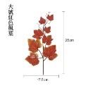 大號紅色楓葉