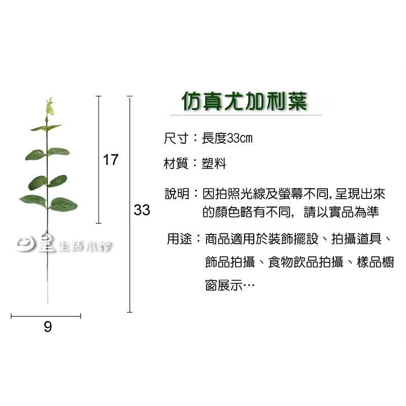 仿真植物 尤加利葉 仿真葉子 INS拍照道具 仿真花束 拍攝道具 佈置 裝飾 拍照小物 婚禮佈置 日皇-細節圖3